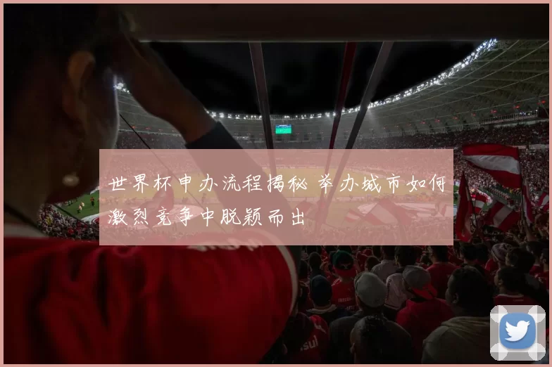 世界杯申办流程揭秘 举办城市如何激烈竞争中脱颖而出