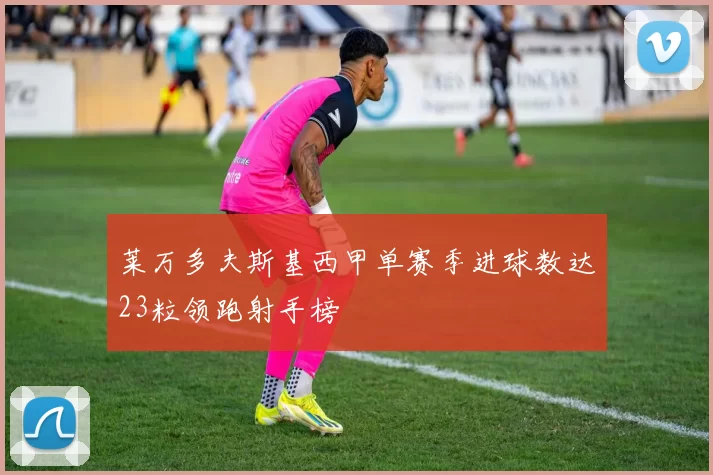 莱万多夫斯基西甲单赛季进球数达23粒领跑射手榜