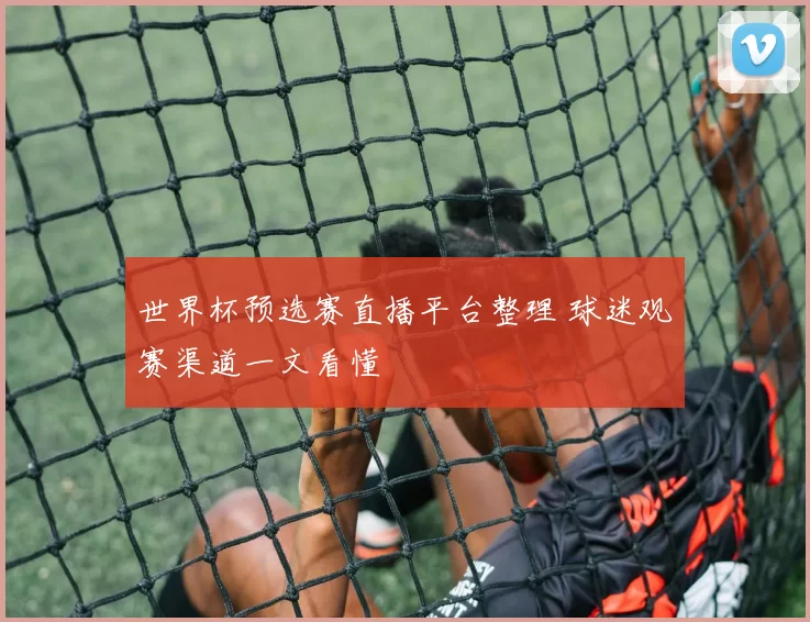 世界杯预选赛直播平台整理 球迷观赛渠道一文看懂