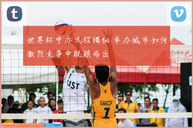 世界杯申办流程揭秘 举办城市如何激烈竞争中脱颖而出